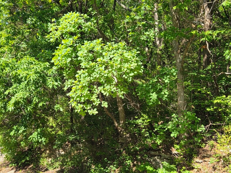 More Photos Of 11000 Skylark SE dr, Huntsville Land For Sale