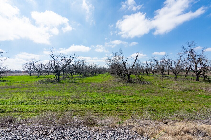 More Photos Of 3310 N Main St, Taylor Land For Sale
