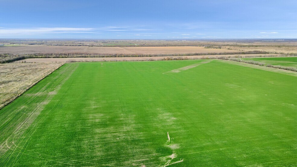 More Photos Of TBD Wall St Rd, Gunter Land For Sale