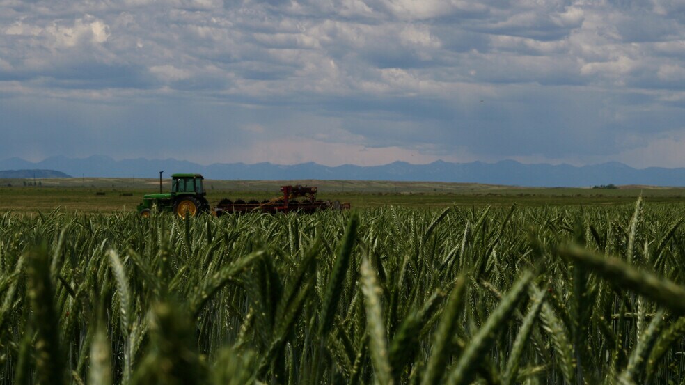 More Photos Of 48999 County Road 48, Model Land For Sale