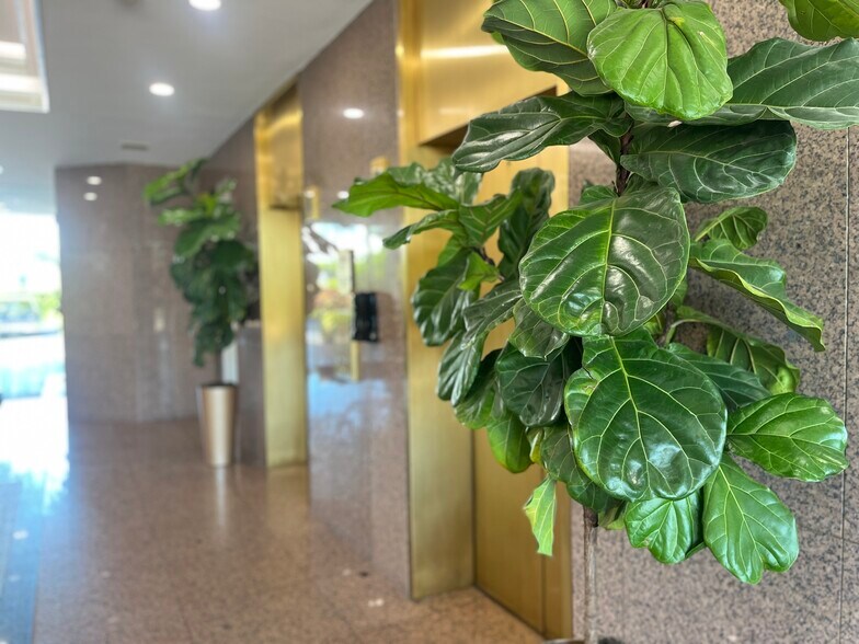 More Photos Of 1800 S Australian Ave, West Palm Beach Office For Lease