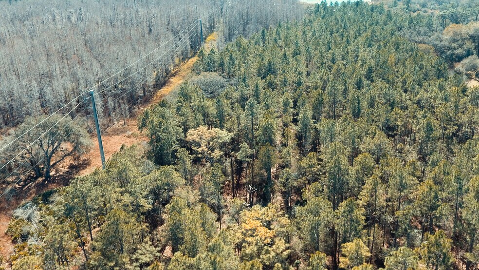 More Photos Of 30607 State Road 54, Wesley Chapel Land For Sale