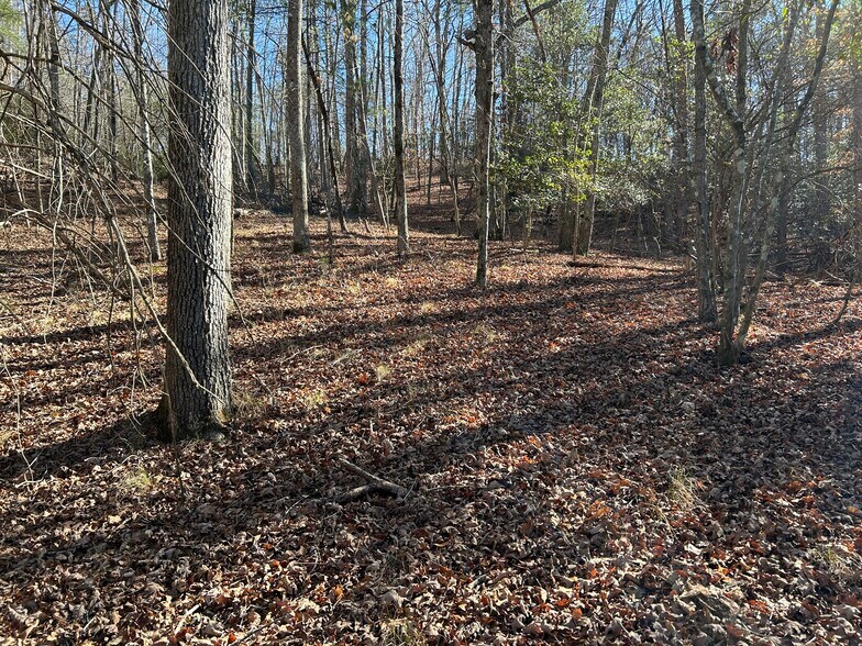 More Photos Of 00 Twin River Orchard Rd, Demorest Land For Sale