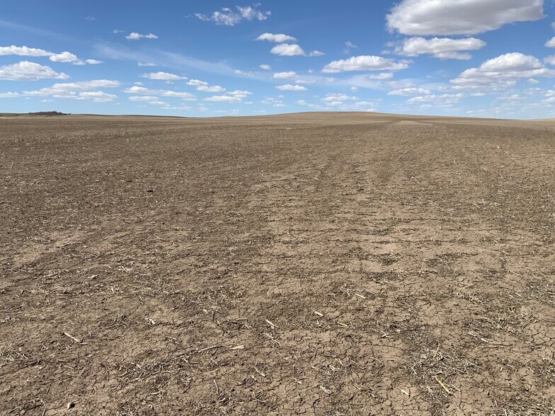 More Photos Of TBD Highway 63, Norris Land For Sale