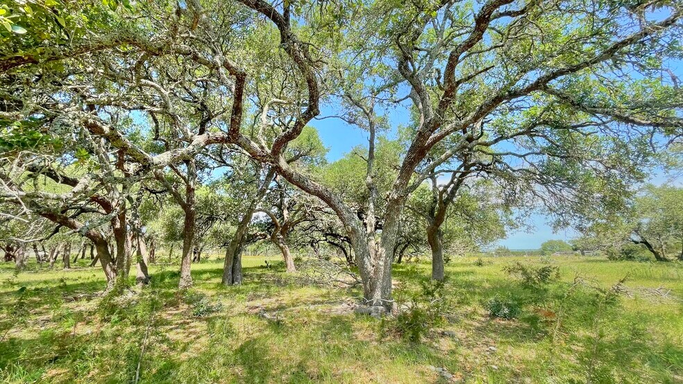 More Photos Of County Road 253, Bertram Land For Sale