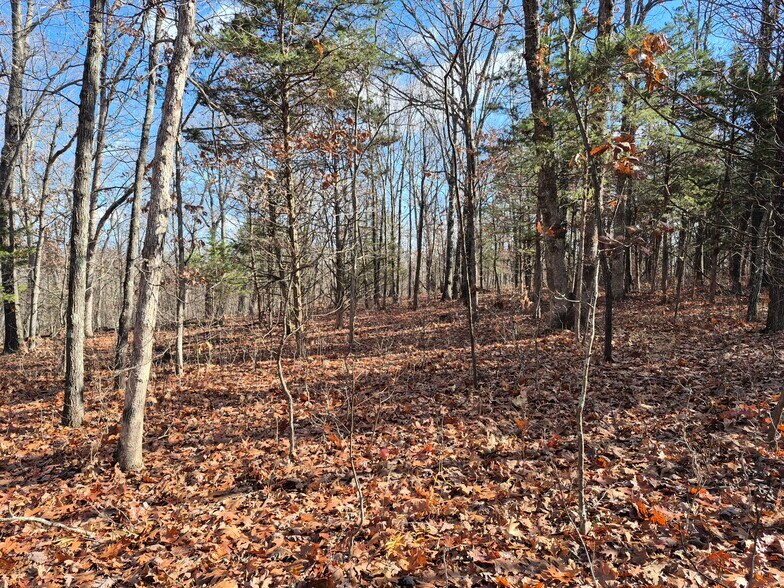 More Photos Of Logan School Rd. (30.2+/- Acres), New Florence Land For Sale