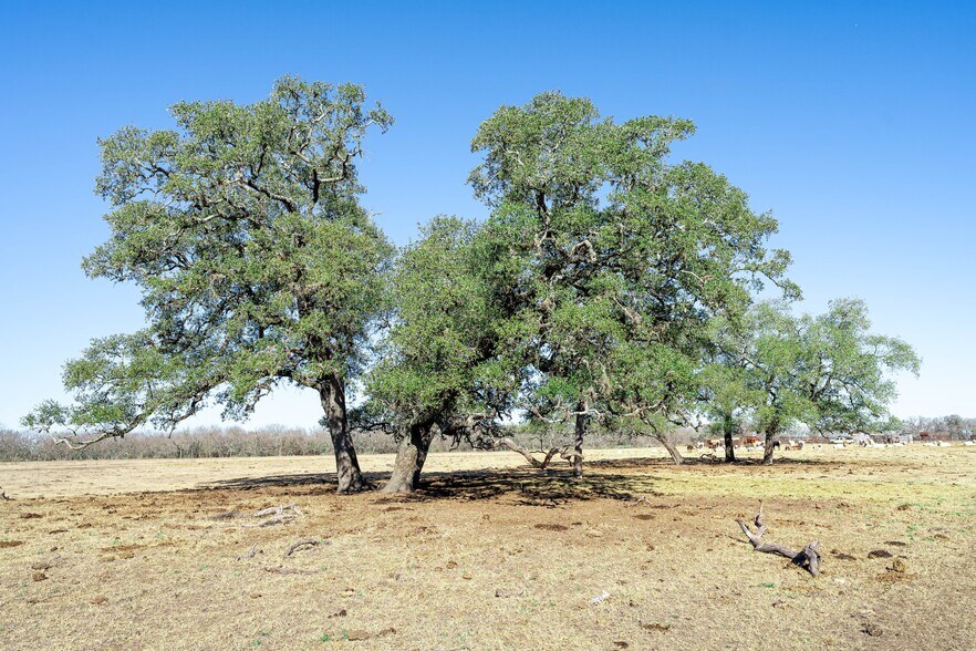 More Photos Of TBD Richards Dr, Del Valle Land For Sale