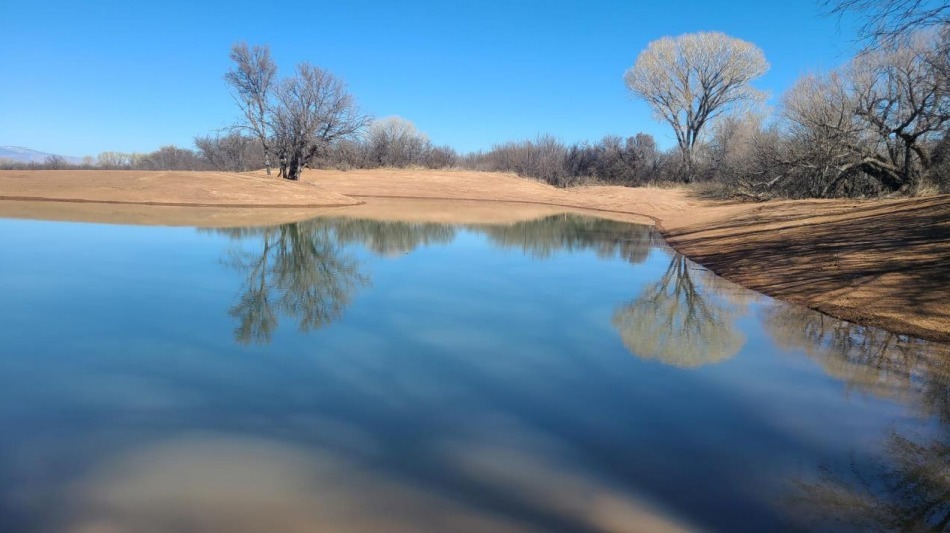 Primary Photo Of S Witts End & Highway 80, Saint David Land For Sale