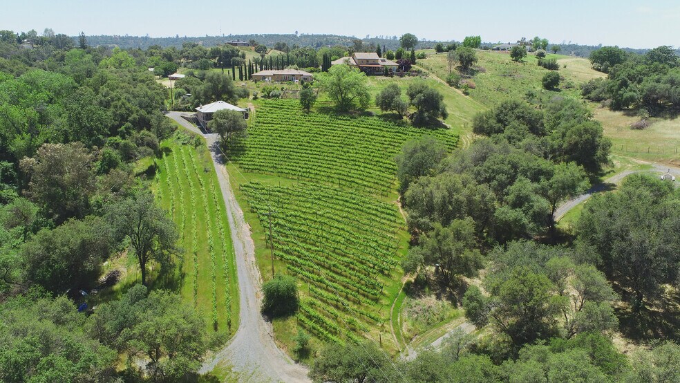 More Photos Of 7071 Ridge Road, Newcastle Winery Vineyard For Sale