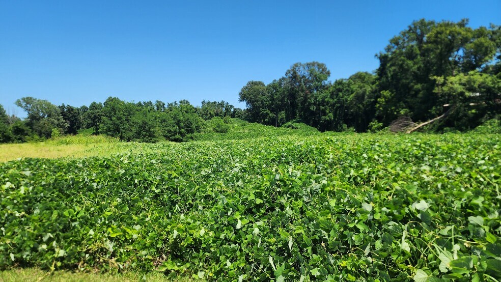 More Photos Of 000 Hwy 61 North, Vicksburg Land For Sale