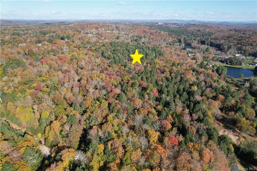 More Photos Of 1195 State Route 17B, Bethel Land For Sale