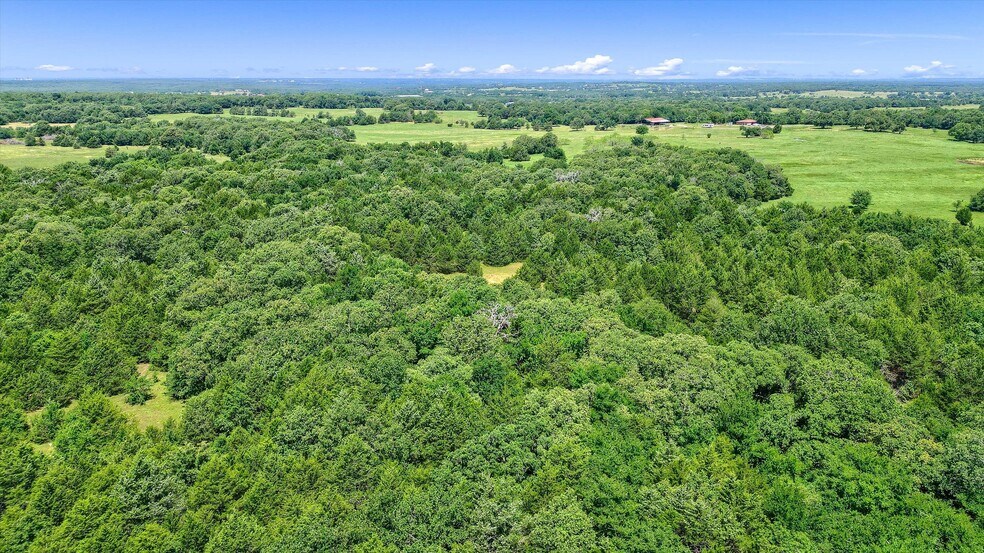 More Photos Of TBD CR 113, Whitesboro Land For Sale