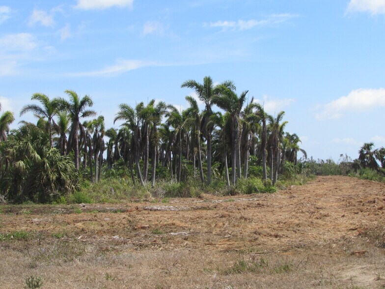 More Photos Of H. Stringfellow, Bokeelia Land For Sale