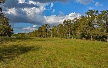 More Photos Of 6125 Crane Ln, North Zulch Land For Sale