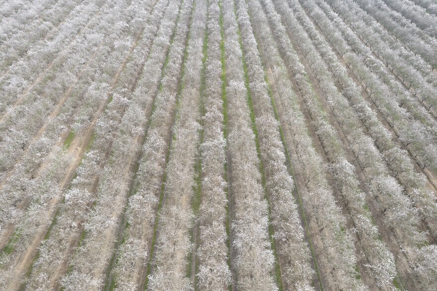 More Photos Of Golden State Hwy @ Rd 22, Madera Land For Sale