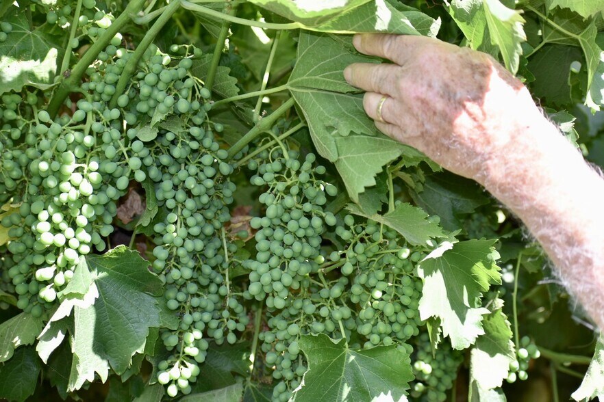 More Photos Of 25203 Road 212, Lindsay Land For Sale