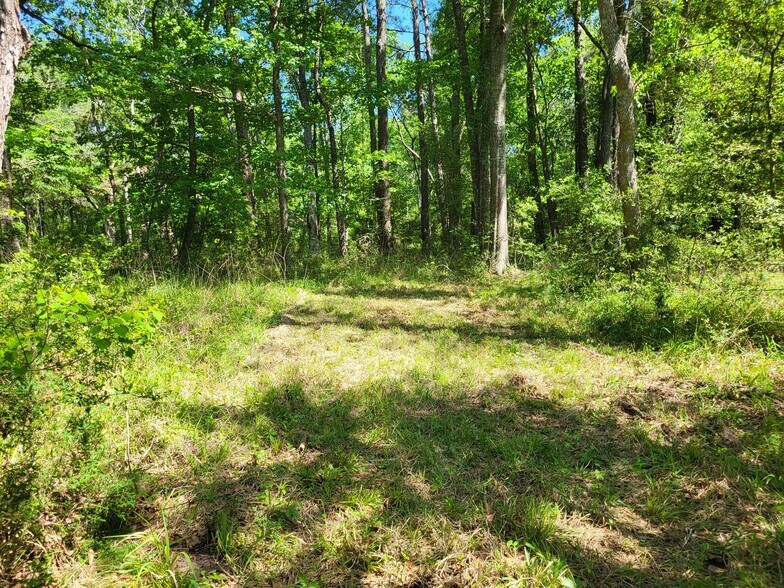 More Photos Of 500 S Pine Lake Rd, Montgomery Land For Sale