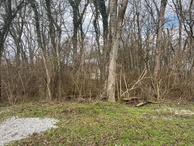 More Photos Of 915 1st Ave, Mount Pleasant Land For Sale