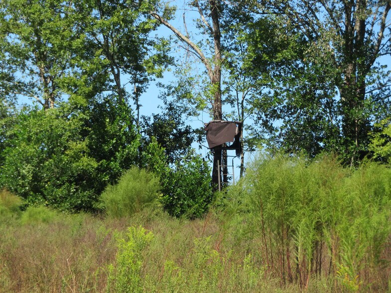 More Photos Of Xxxx Greensboro Hwy, Gretna Land For Sale