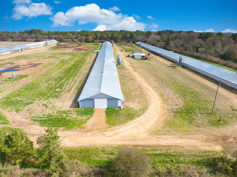 More Photos Of 441 Weaver Rd, Moultrie Land For Sale