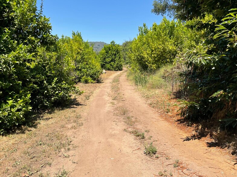 More Photos Of 44952 Vista del Mar, Temecula Winery Vineyard For Sale