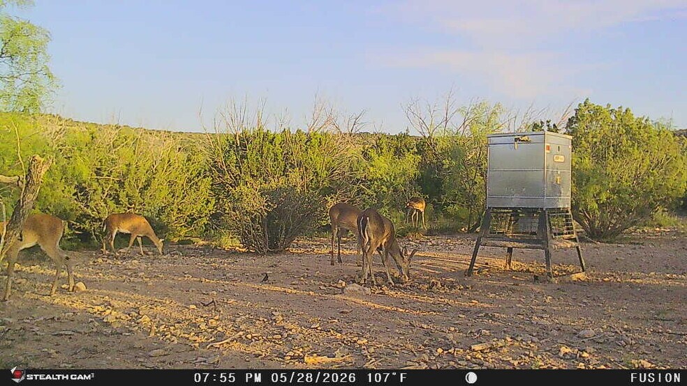More Photos Of 0000 Clegg Rd, Ozona Land For Sale