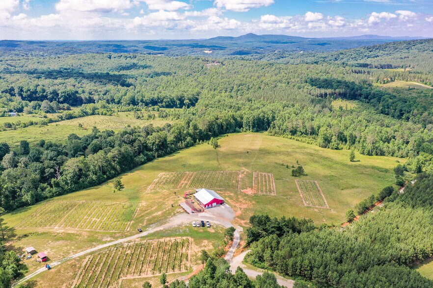 More Photos Of 119 Inland Dr, Talking Rock Winery Vineyard For Sale