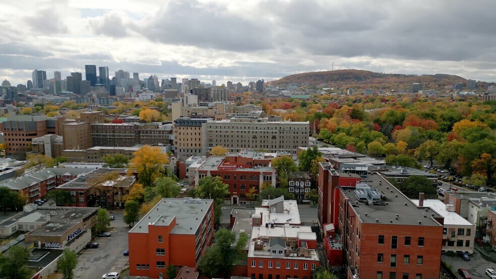 Primary Photo Of 2251 Av Papineau, Montréal Light Distribution For Sale