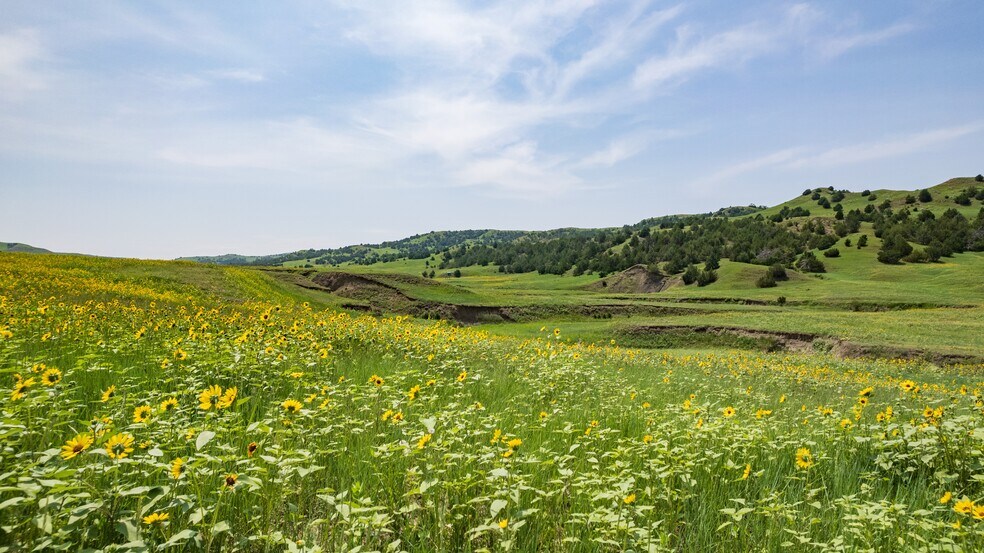 More Photos Of 21627 Hardingrove Rd, Milesville Land For Sale
