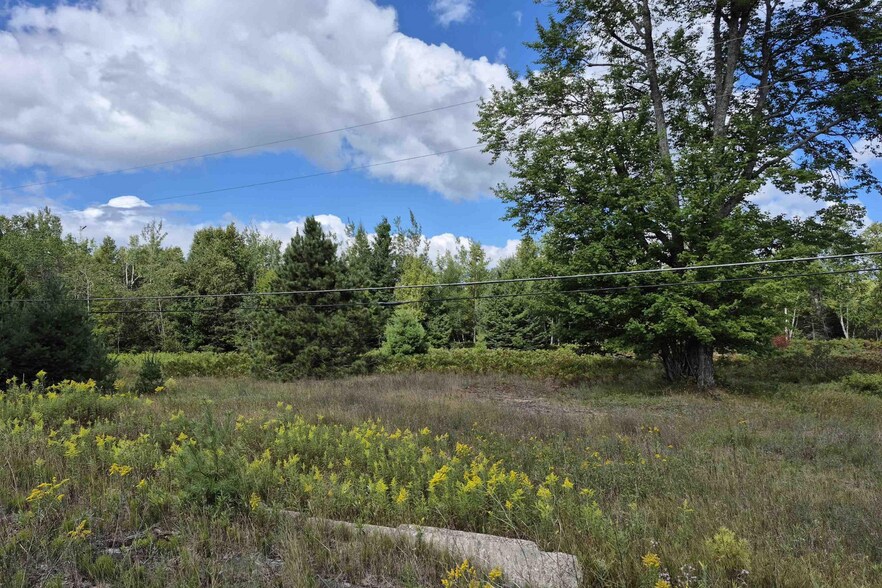More Photos Of 6838 US-2 Hwy, Manistique Land For Sale