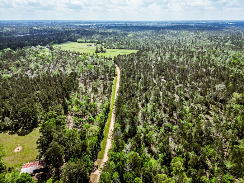 More Photos Of TBD Vick Spring Rd, New Waverly Land For Sale