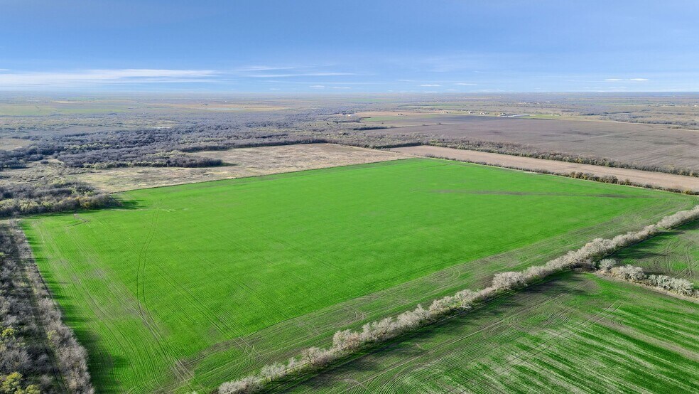 More Photos Of TBD Wall St Rd, Gunter Land For Sale