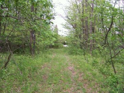 More Photos Of 105 Liberty St, Monticello Land For Sale