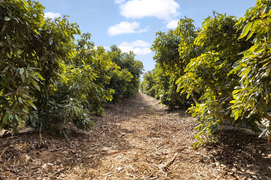 More Photos Of 0 Laguna Rd., Oxnard Land For Sale