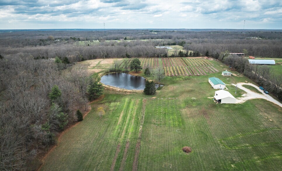 More Photos Of 552 Lick Creek Rd, Leasburg Land For Sale