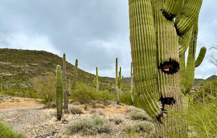 More Photos Of 7XXX Highland Road Rd, Cave Creek Land For Sale
