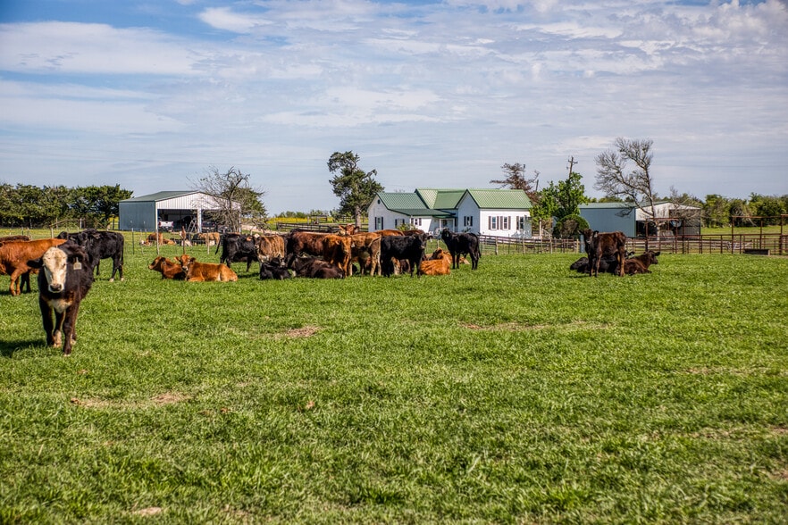 More Photos Of 20751 FM 1155 E, Washington Land For Sale