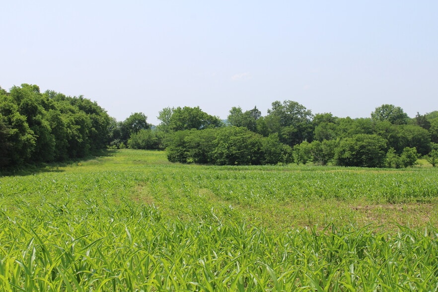 More Photos Of 530 Branham Mill Rd, Gallatin Land For Sale