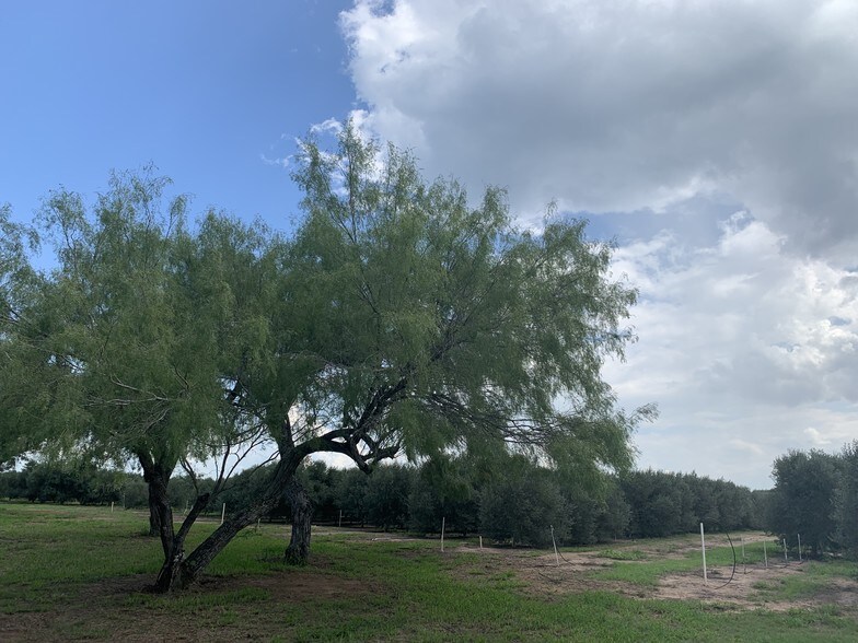 More Photos Of 9846 CR 260, Realitos Land For Sale