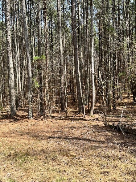 More Photos Of 0 Autry Rd, Plainville Land For Sale