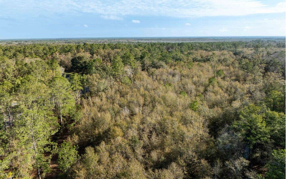 More Photos Of TBD CR 137 & I-10, Wellborn Land For Sale
