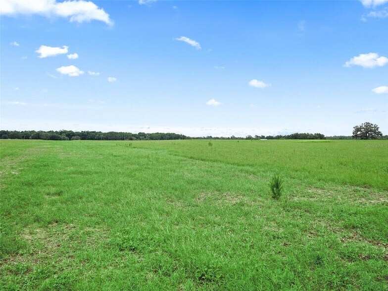 More Photos Of CR 635, Bushnell Land For Sale