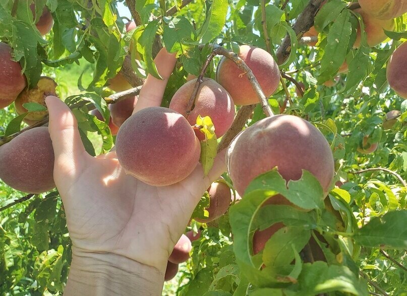 More Photos Of 13915 US 70, Fort Thomas Land For Sale