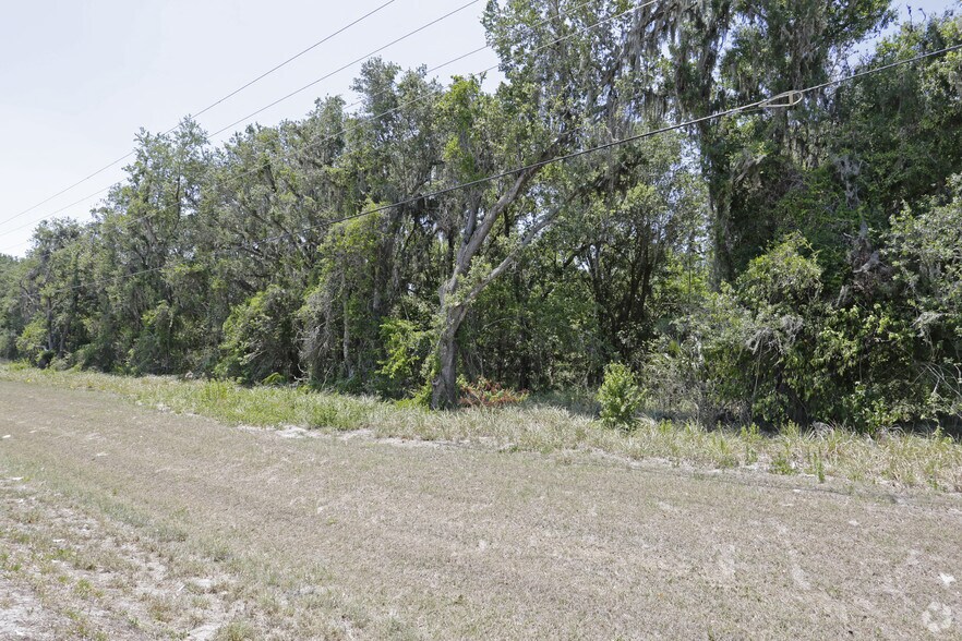 More Photos Of 2360 US Hwy 17 S, Wauchula Land For Sale