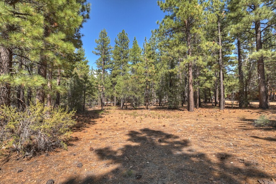 More Photos Of 2001 State Lane, Big Bear City Land For Sale