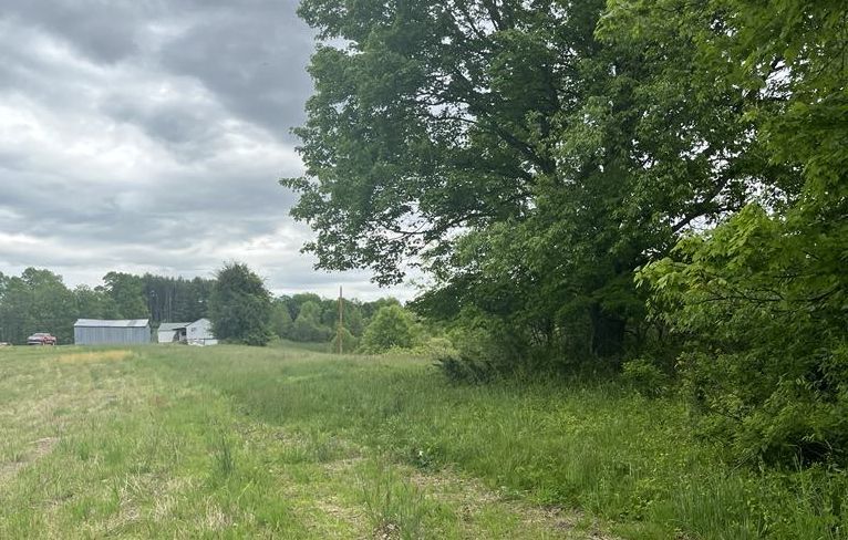 More Photos Of 45586 Twp 2512 rd, Woodsfield Land For Sale