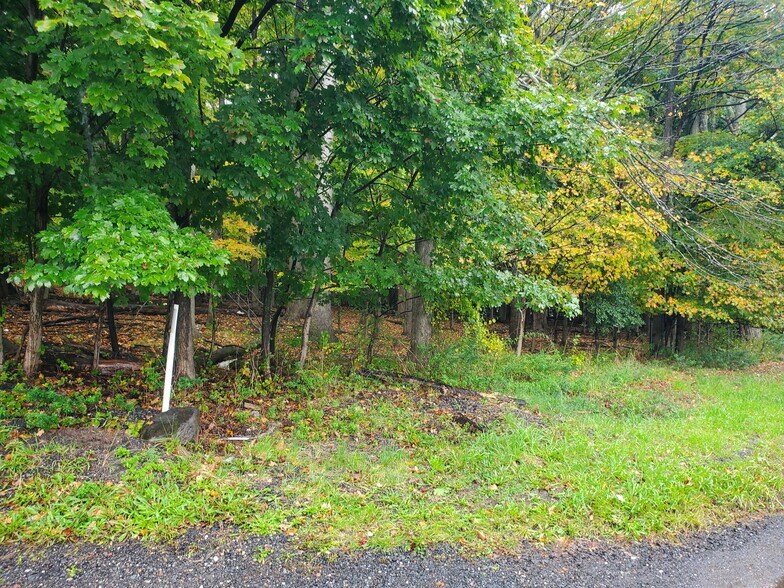 More Photos Of 613 Route 303, Blauvelt Land For Sale