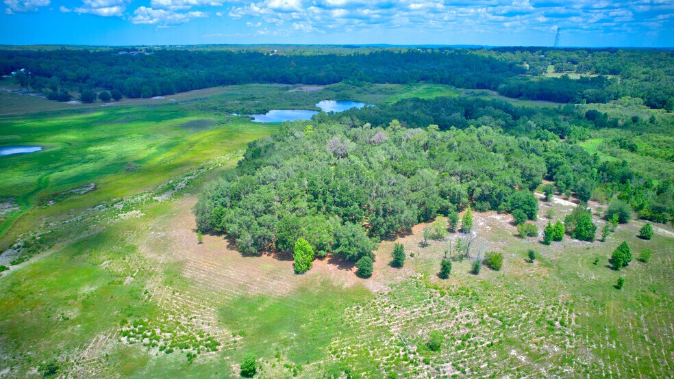 More Photos Of 3267 Neff Lake Rd, Brooksville Land For Sale
