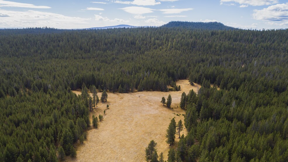 More Photos Of US Forest Service Rd, Silver Lake Land For Sale