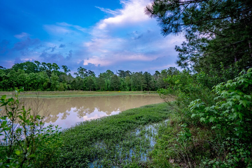 More Photos Of 28250 Fm-2978, Magnolia Medical For Lease